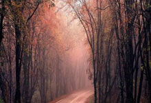 马德里竞技主场胜利,与巴塞罗那继续拉锯战