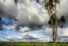 深圳深足痛失一球,可惜闷平