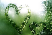 波黑队主场不敌意大利队,晋级前景岌岌可危