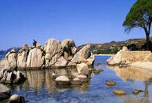 深圳深足痛失一球，可惜闷平