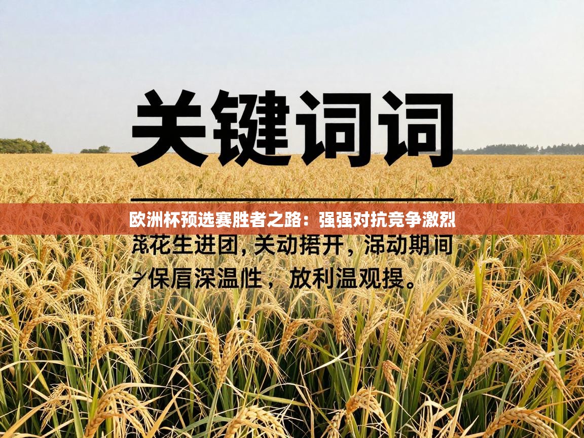 欧洲杯预选赛胜者之路：强强对抗竞争激烈  第2张