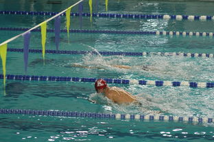 爱游戏体育-“新加坡泳池见证泳坛巨星!2025世界游泳锦标赛激烈开赛” 第3张